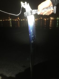 タチウオ ワインド