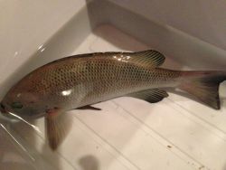 最終地点は大波止！ww