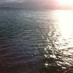 爆風の中の太刀魚ゲーム‼︎