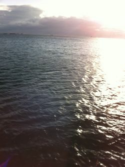 爆風の中の太刀魚ゲーム‼︎