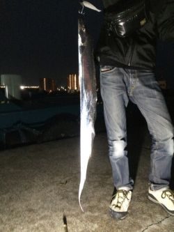 太刀魚ワインド