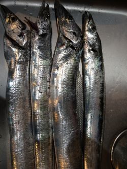 釣り人、少ない