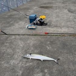 ナブラに感謝(^.^)