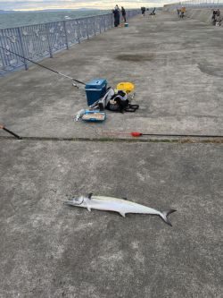 ナブラに感謝(^.^)