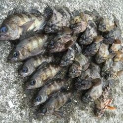 爆風デイゲーム