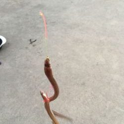 人工島上陸(^。^)