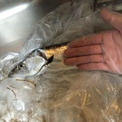 時間帯による？