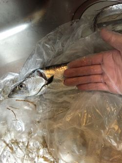 時間帯による？