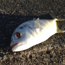 とほほなメッキ