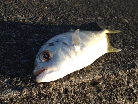 とほほなメッキ