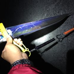 太刀魚ワインド第2ラウンド＼(^o^)／