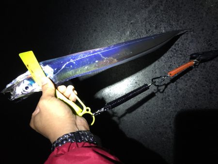 太刀魚ワインド第2ラウンド＼(^o^)／