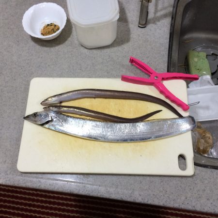 なんとか、一本