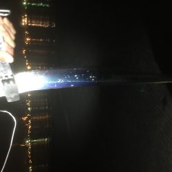 タチウオ ワインド