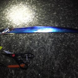 本日もタッチーご機嫌上々＼(^o^)／