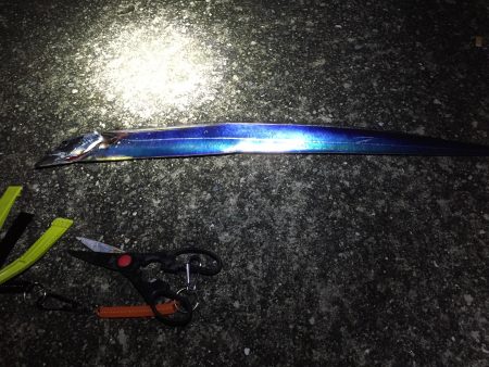 本日もタッチーご機嫌上々＼(^o^)／