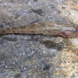 こんな時期に？