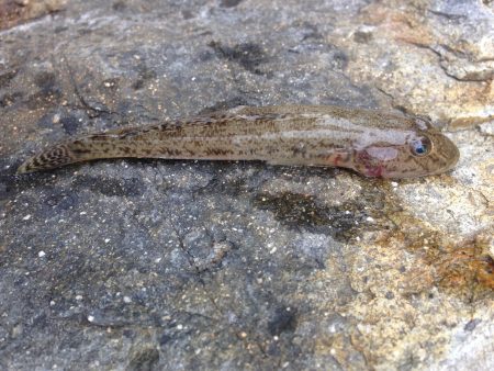 こんな時期に？