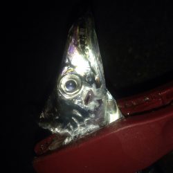 ワインドタチウオ