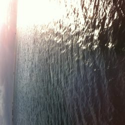 爆風の中の太刀魚ゲーム‼︎