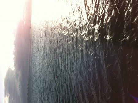 爆風の中の太刀魚ゲーム‼︎