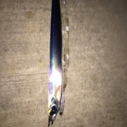 久しぶりのタチウオ！