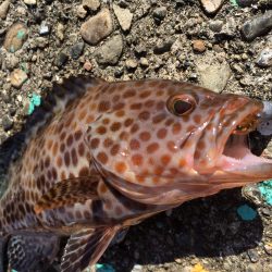 今日もD.D.8で(^.^)