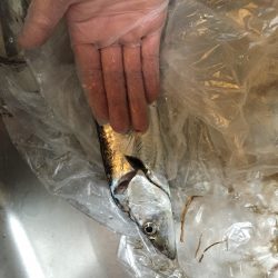 時間帯による？