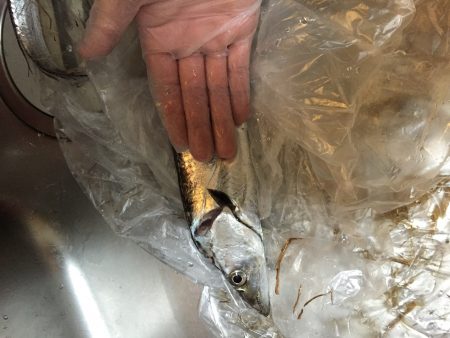 時間帯による？