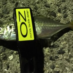 心地よいアジング