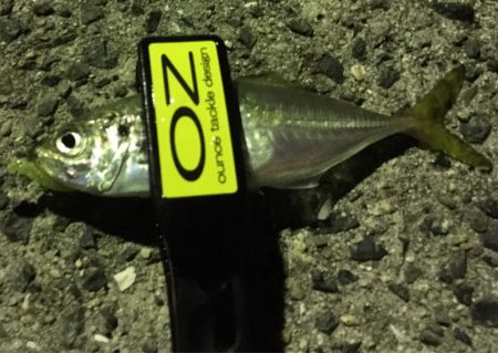 心地よいアジング