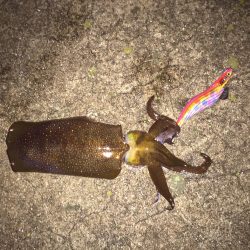 鹿を見ながらランガン！