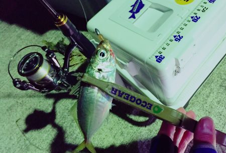 渋いですねぇ…