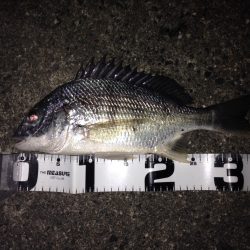 うれしい外道！