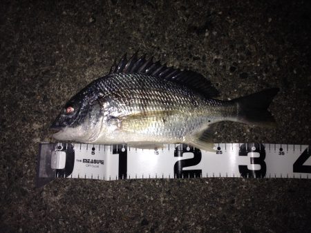 うれしい外道！