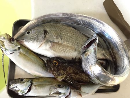 アジングシーズン