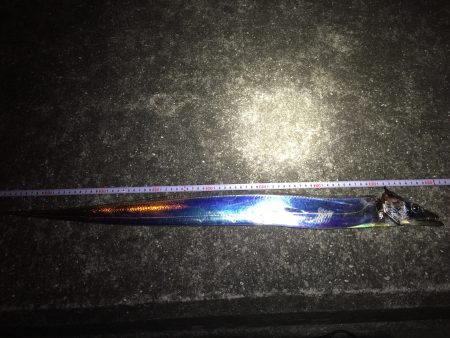 ふらっと夜からの出陣で！