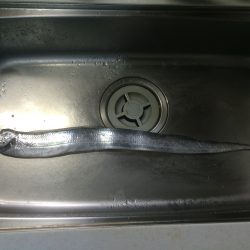 今日は渋かったぁ