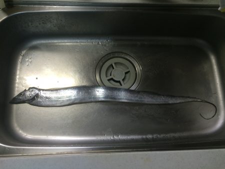 今日は渋かったぁ