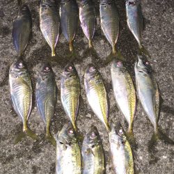 いつもより沖目に