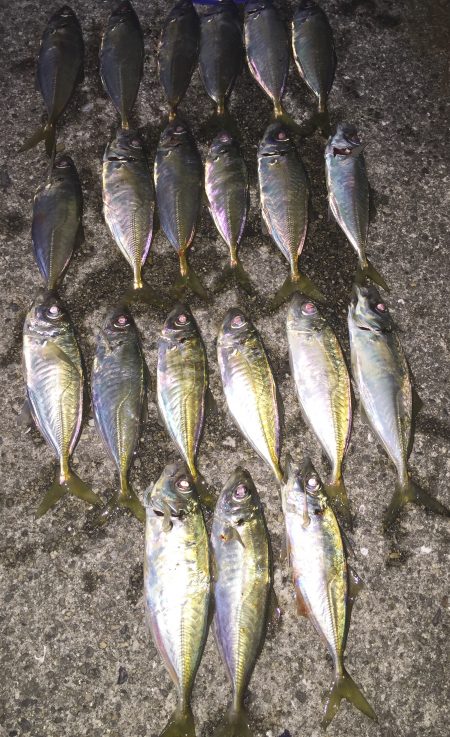 いつもより沖目に