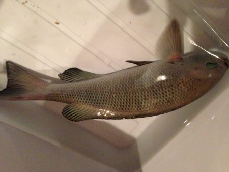 最終地点は大波止！ww