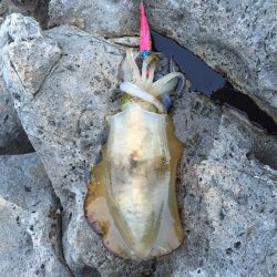 今秋2度目の遠征！