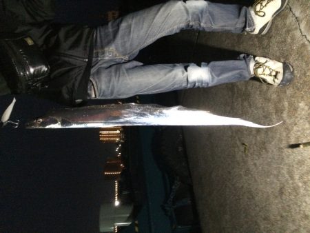 太刀魚ワインド