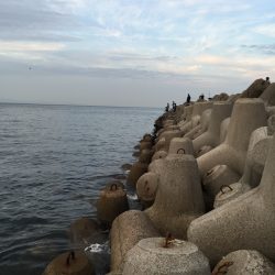 今シーズン初メバリング