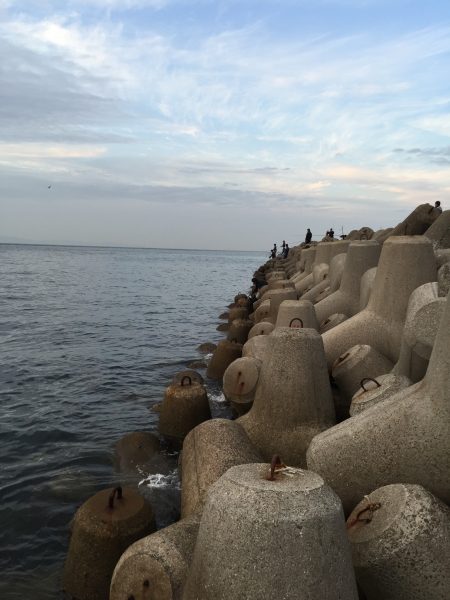 今シーズン初メバリング