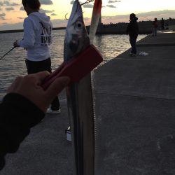 2週間ぶり紀ノ川