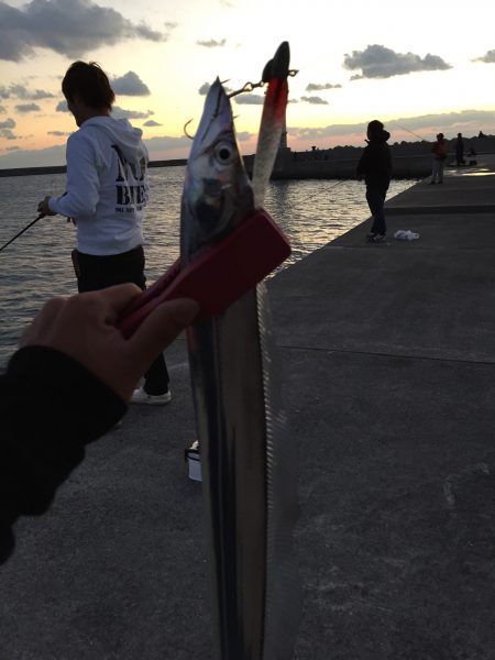 2週間ぶり紀ノ川