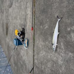 ナブラに感謝(^.^)