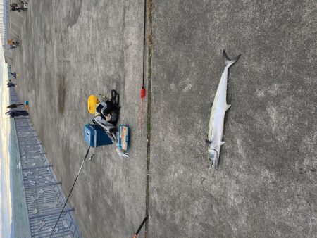 ナブラに感謝(^.^)